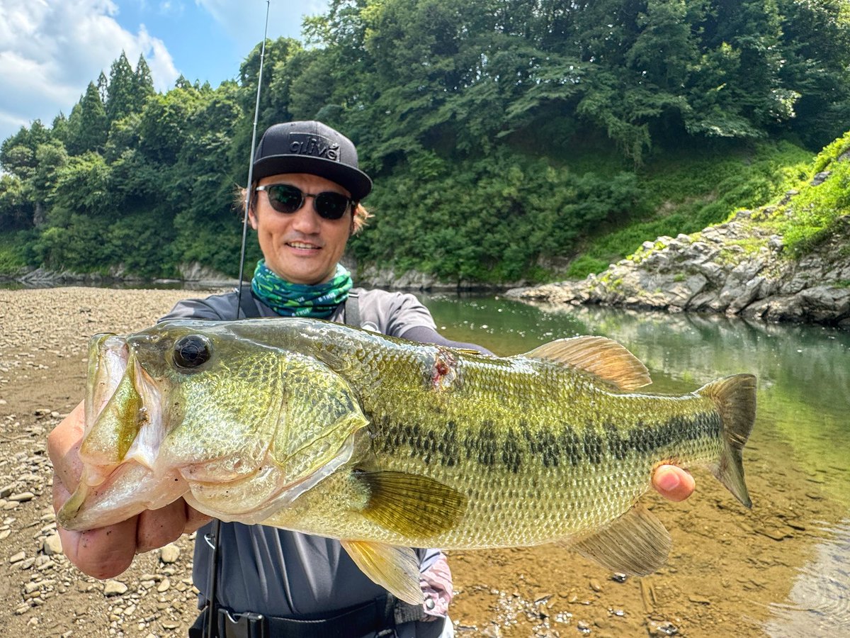 OKguide's tweet photo. 夏だ☀️8月だ‼️夏休みだ☀️‼️
っということで大人に夏休みはありませんが笑、夏休み気分でリザーバーおかっぱりへ☺️
確かに見えてるバスは癖ありでしたが夏の基本、シェードとカレントを元にパターン発見👀
ルシエルも無事に釣れました🎣👍笑
#ボウワームヌードル
#ルーシー
#ギズモ
#ジャンミニ https://t.co/8R4OSKLGUr