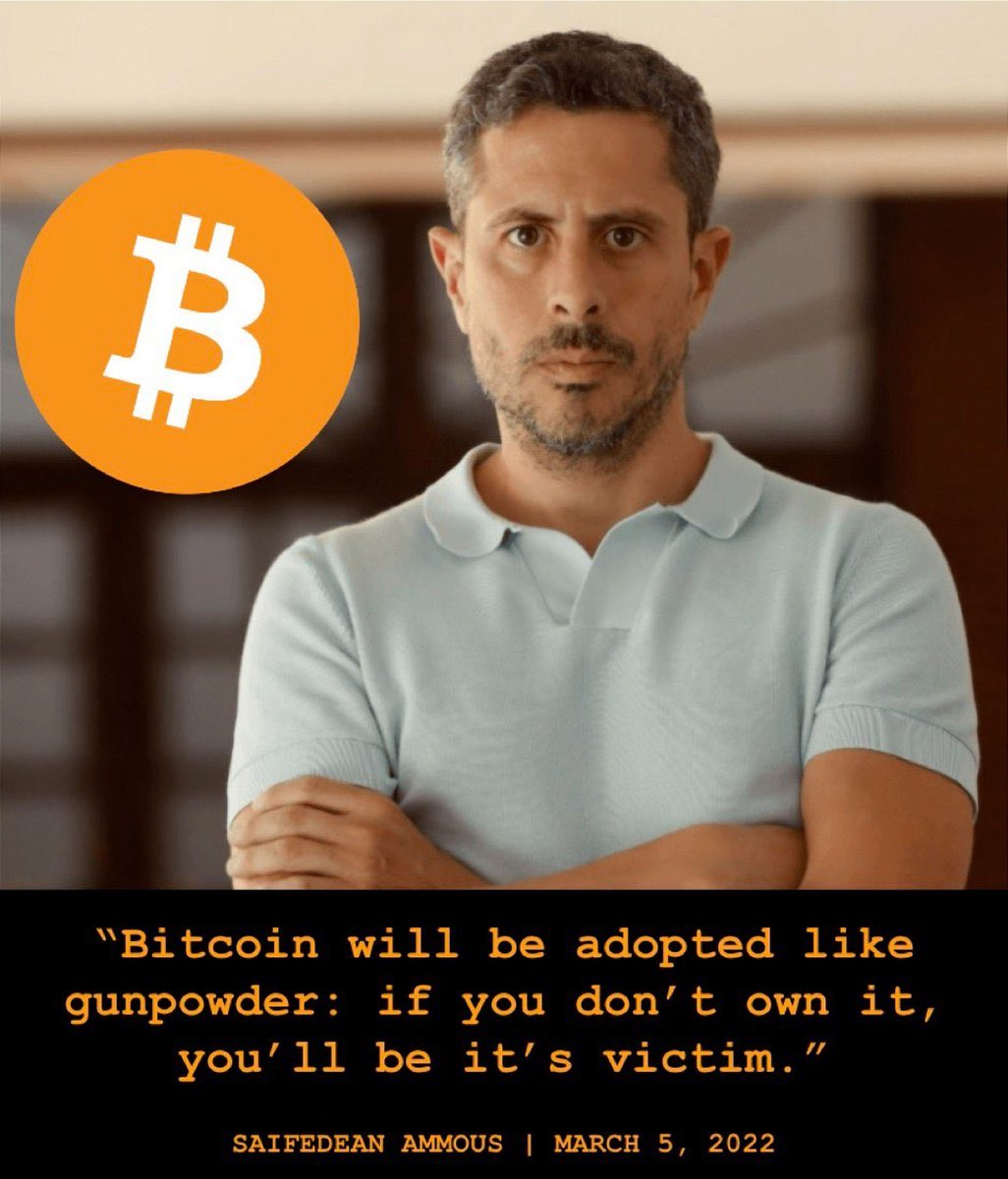 비트코인은 화약처럼 받아들여질 것입니다. 당신이 그것을 소유하지 않는다면, 당신은 그것의 희생자가 될 것입니다.” - 사이페딘 아모스