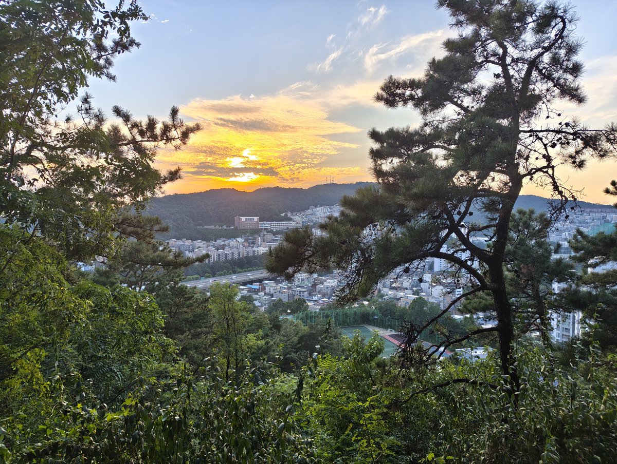 That's not grass. This is grass