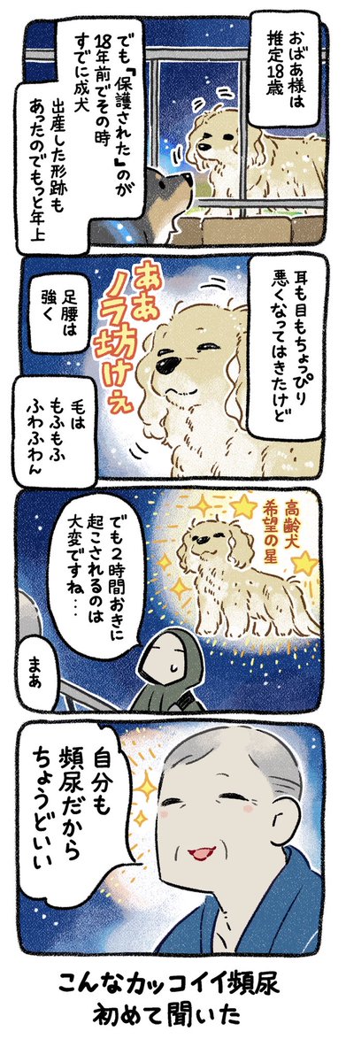 超カッコイイ頻尿の話。
#漫画が読めるハッシュタグ 