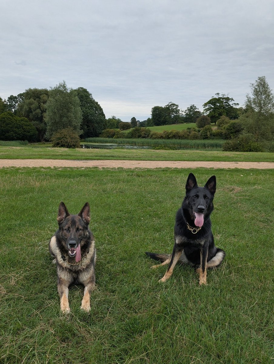 Happy Saturday from me and PD Pyper, have a good day 🐾