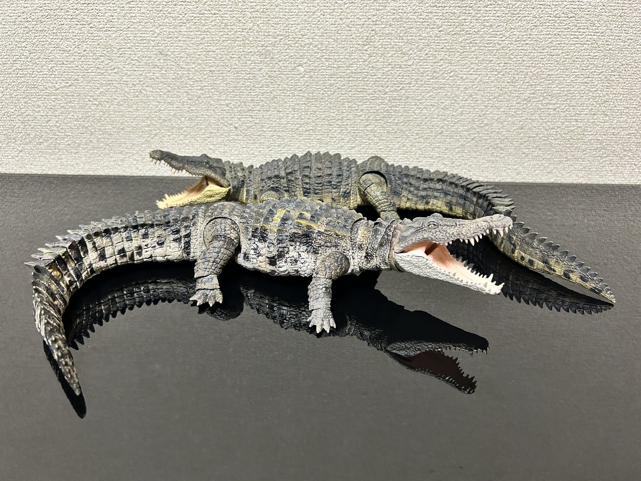 地球を食べるワニ 地球を食べるワニ A huge 4m crocodile swallows foreign fish