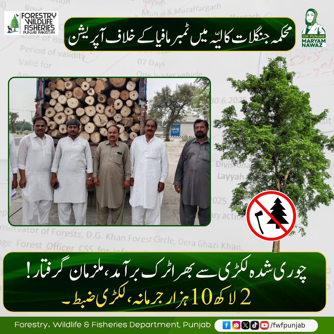 fwfpunjabpk's tweet image. محکمہ جنگلات کا لیّہ میں ٹمبر مافیا کے خلاف آپریشن۔
چوری شدہ لکڑی سے بھرا ٹرک برآمد، ملزمان گرفتار!
.
.
@Marriyum_A @MaryamNSharif @GovtofPunjabPK 
#treecutting #forest #TimberMafia #forestprotection #fwfpunjab #GovtOfPunjab
