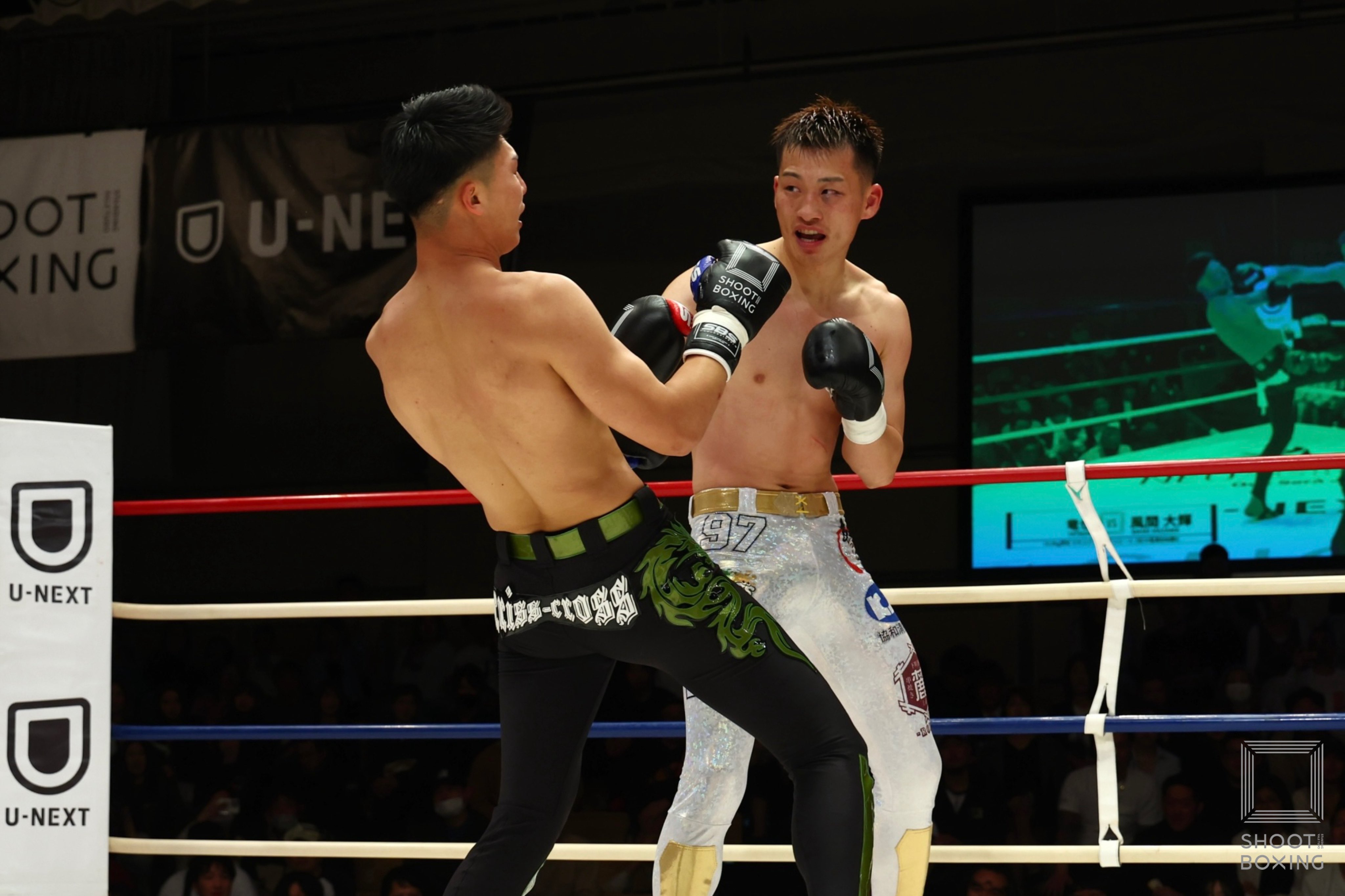 最強　フュージョンファイト Fusion Fight] New mode added!! VS Five King! Work together