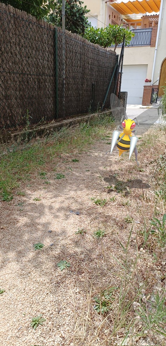 POV: sales de casa en verano