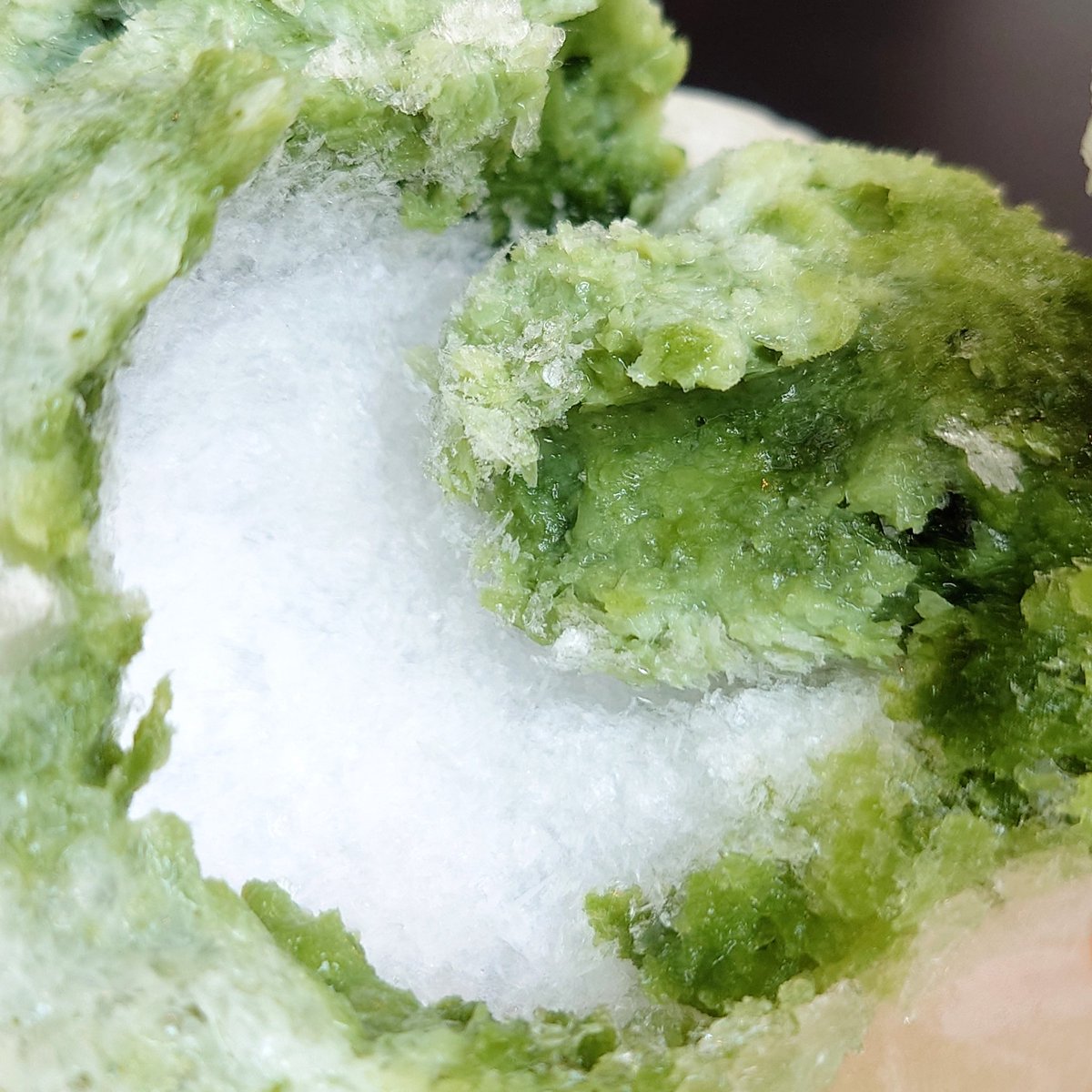 柳谷ナオ・和菓子ソムリエ tweet media