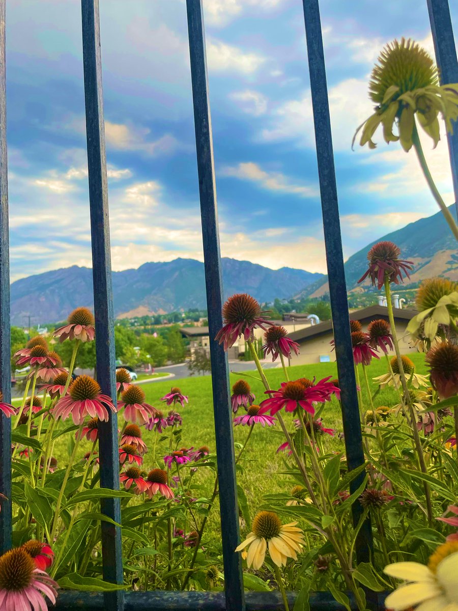 My neck of the woods.

⛰️⛰️

#Utah