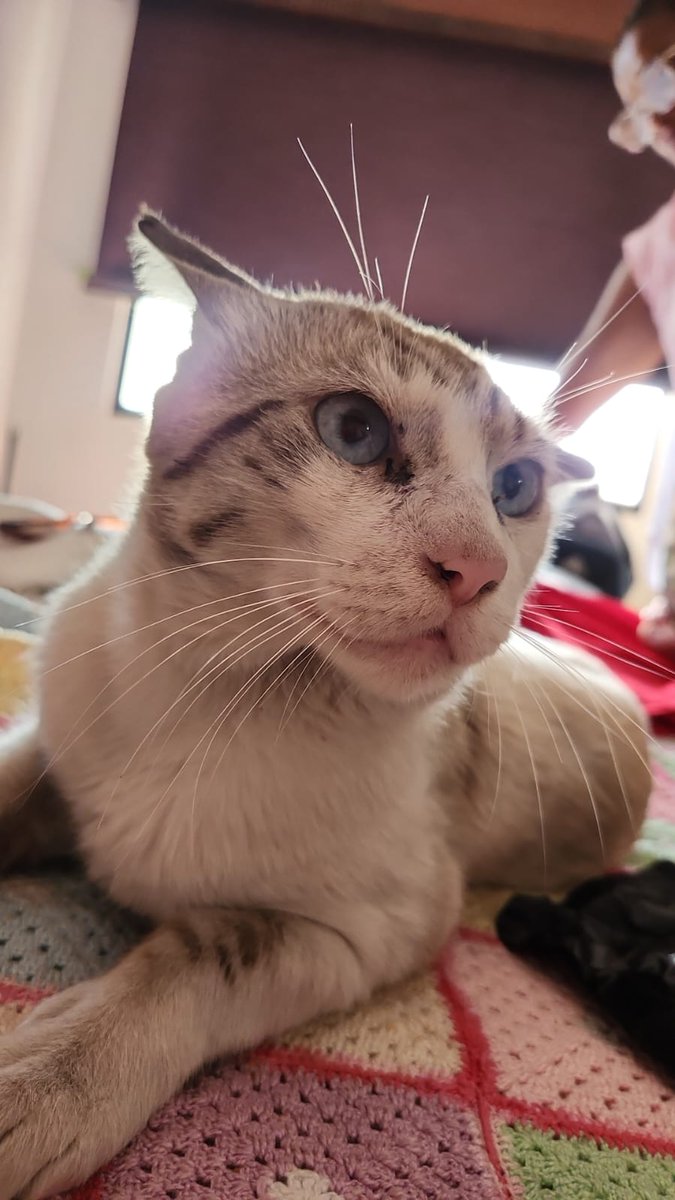 Que guapo mi Lorenzo