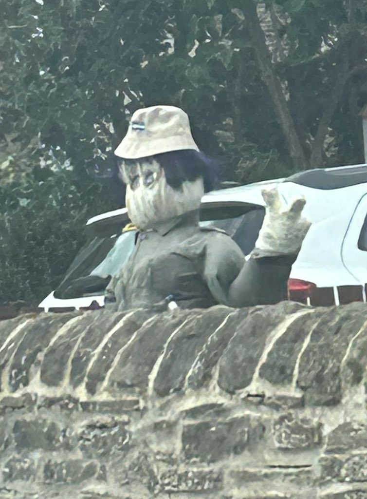 Life has peaked for <a href="/liamgallagher/">Liam Gallagher</a> this is the best scarecrow for the show and it better win 😂😂