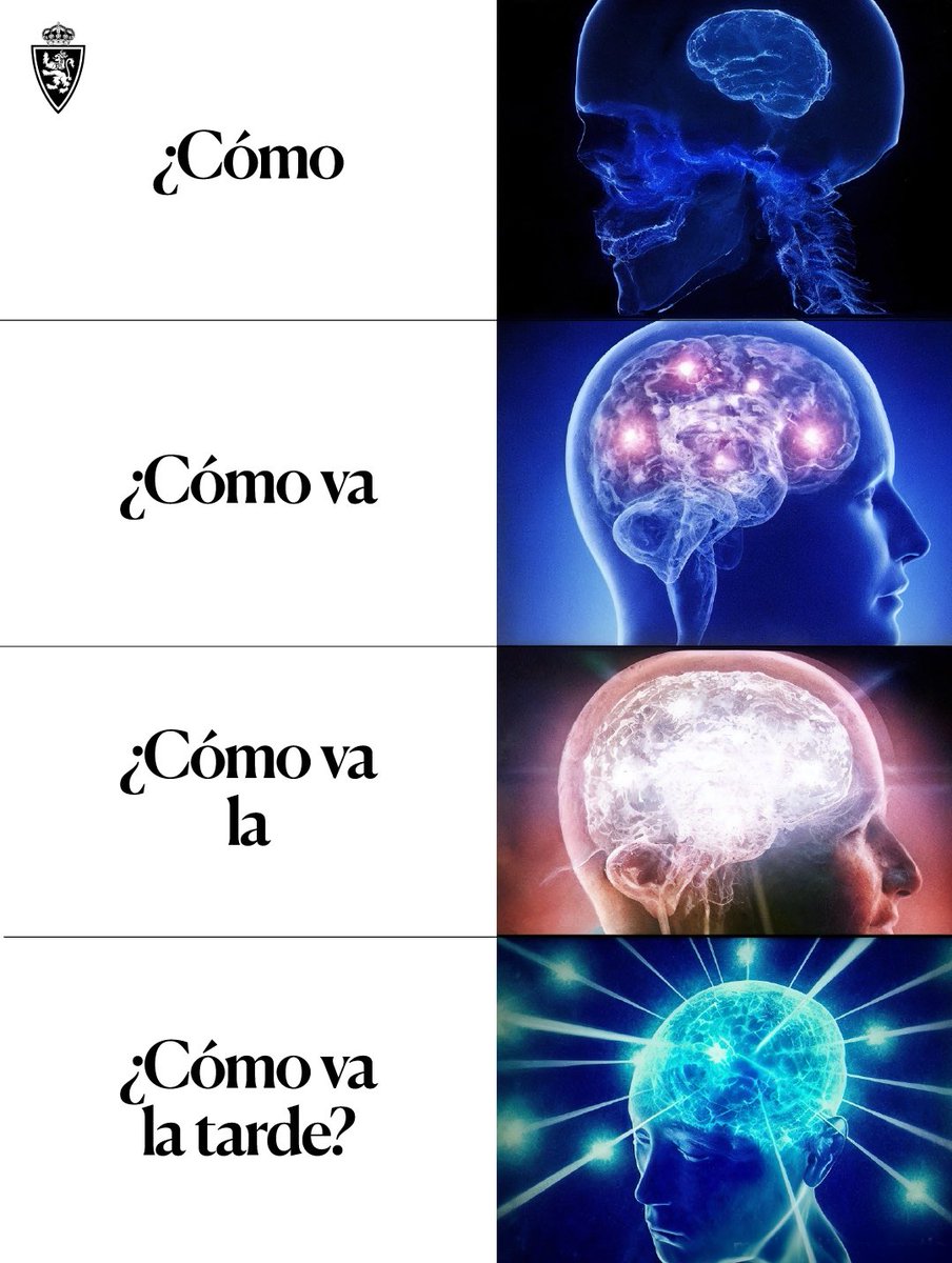 Real Zaragoza tweet media