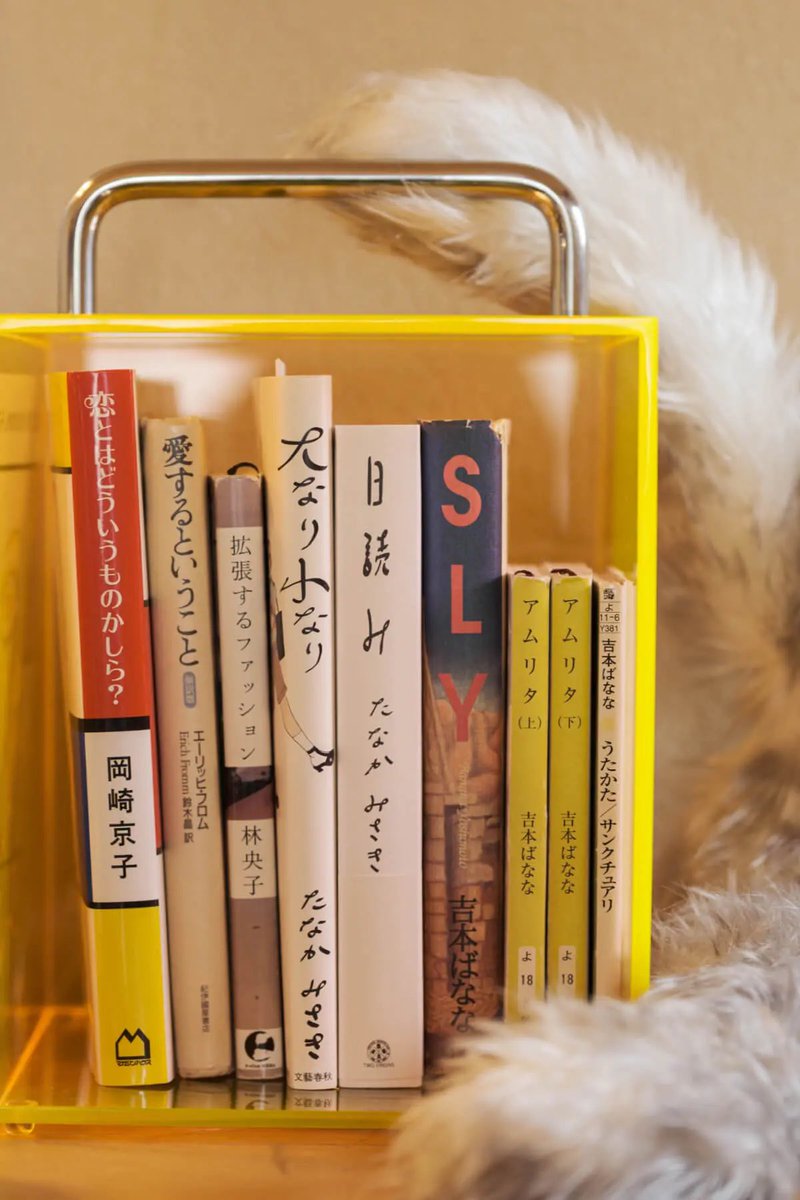 aoki_TENT's tweet photo. 物の「新しい形」を作るんじゃなくて。
物がもたらす「新しい風景」を作りたい。

Anywhere Book Case は、まさにその真骨頂で。

Rや曲面がどうとかではなく、ただのボックス、ハンドル、スリット。これでいいのだ。

なぜなら、使う人が主役なのだから！ https://t.co/ffizKng3Ey
