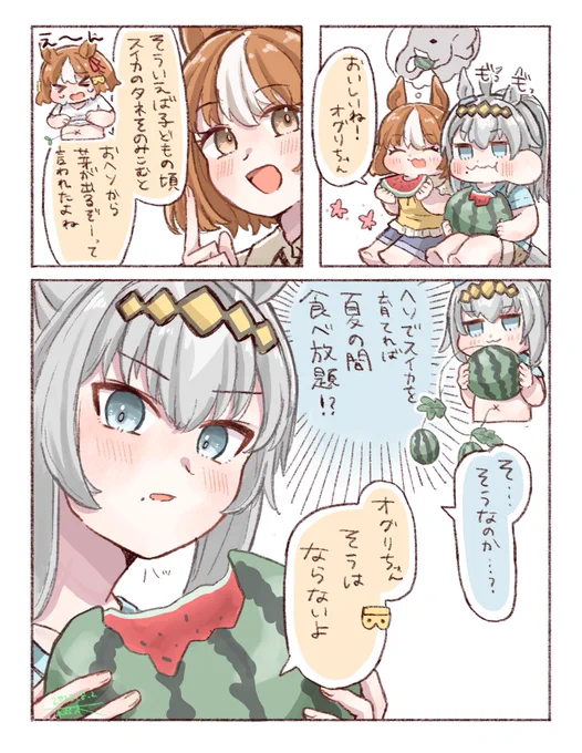 スイカの種 
