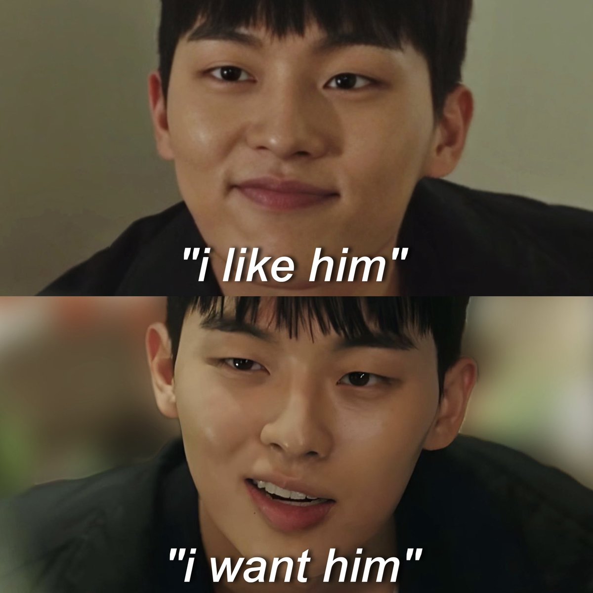 viki-class tweet media