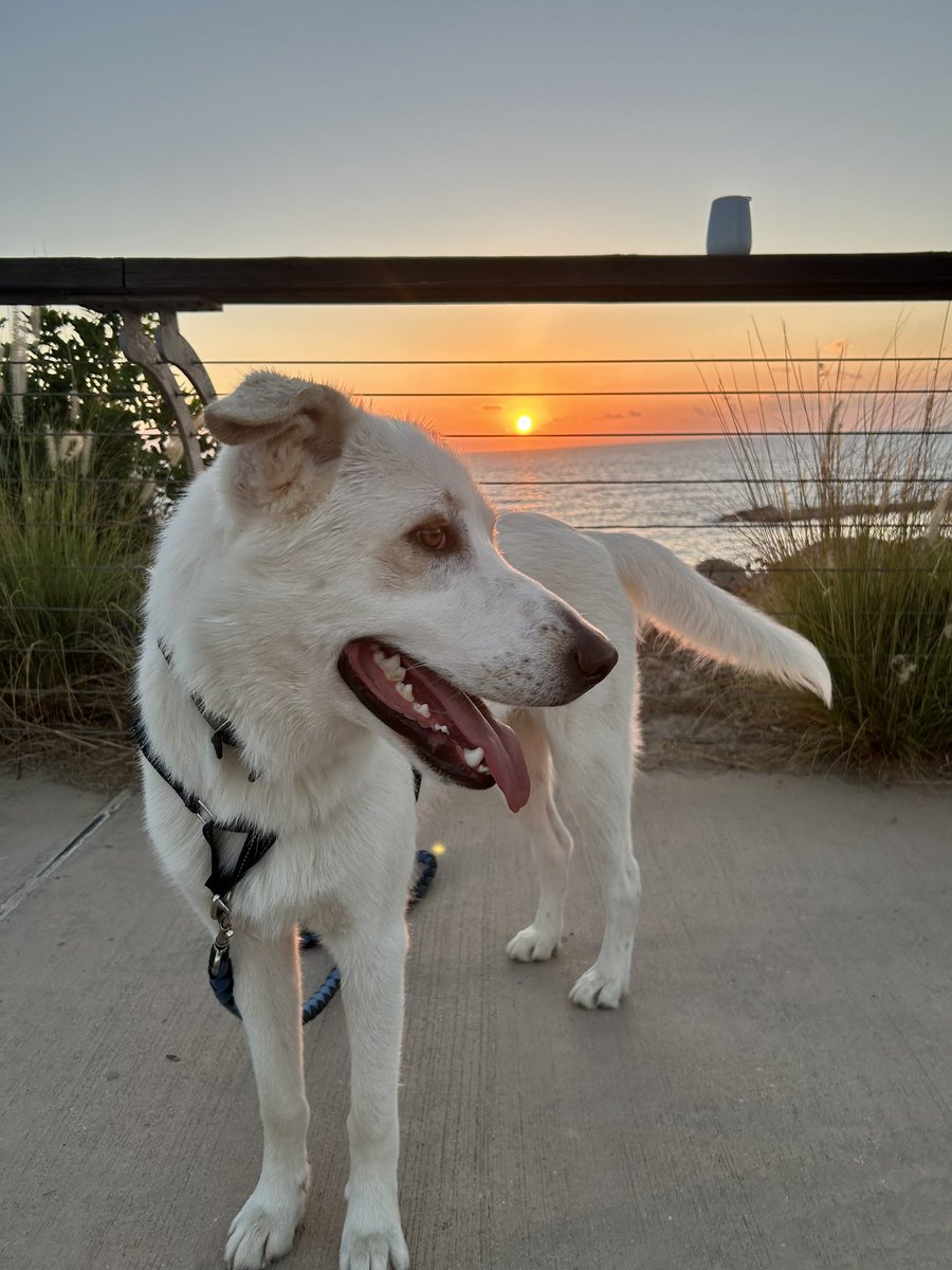 Welcoming in the Sabbath in Tel Aviv. Shabbat Shalom!