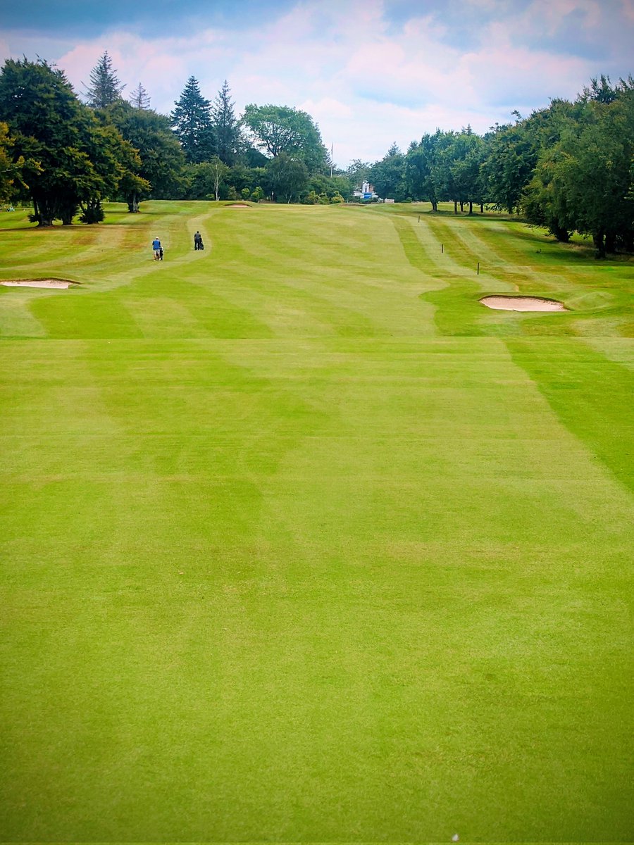 Greens Staff tweet media