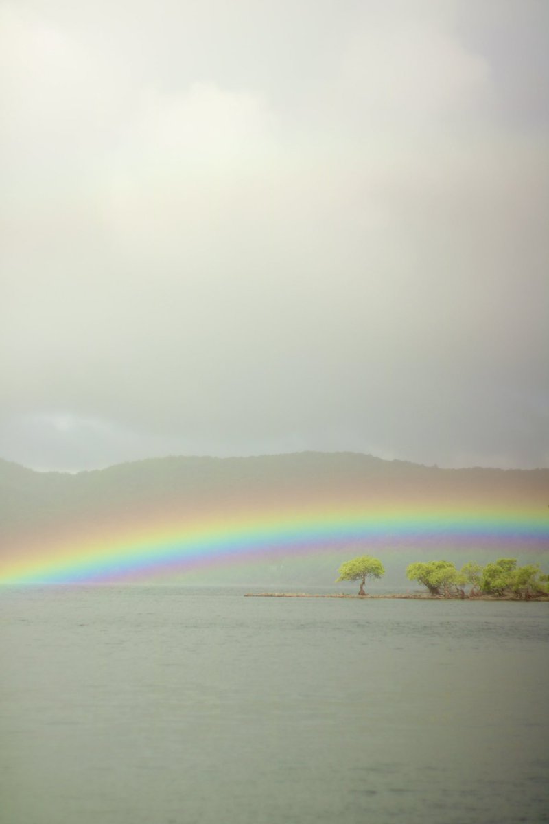 【雨でも良いショットを狙ってみよう☔️🌈📸】

屋外の撮影はやはり晴れがいちばん☀️！
…とはいえ撮影日に天候が崩れることも😥

でも雨の日ならではの撮影も☔️
これは桧原湖で撮れた1枚🌈✨

こんなミラクルもロケ撮の醍醐味！
アイデアとセンスで、天候を味方に☔️☁️☀️

#コスナビ
#コスプレ
#ロケ撮