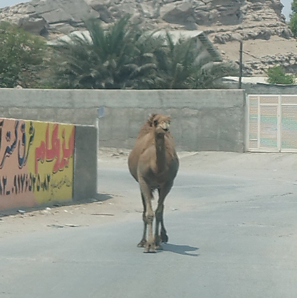 🟥☫🟩ℒḯḓα tweet media