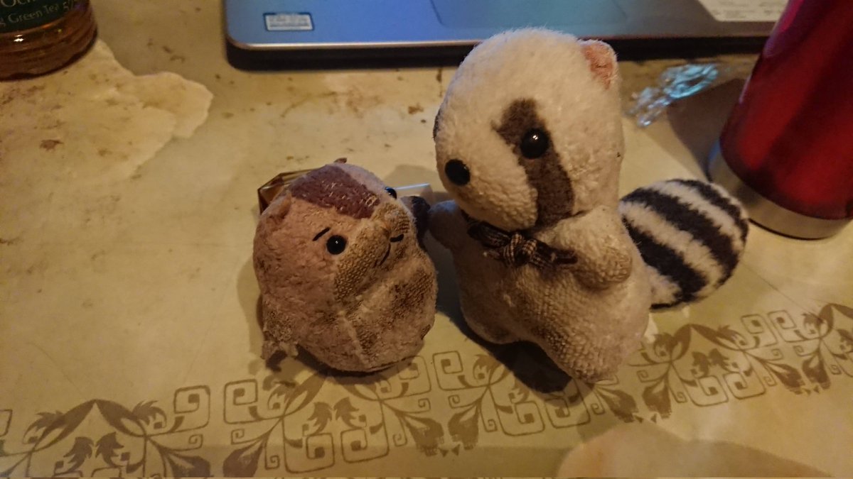 北海道民始めました(´・ω・`) tweet media