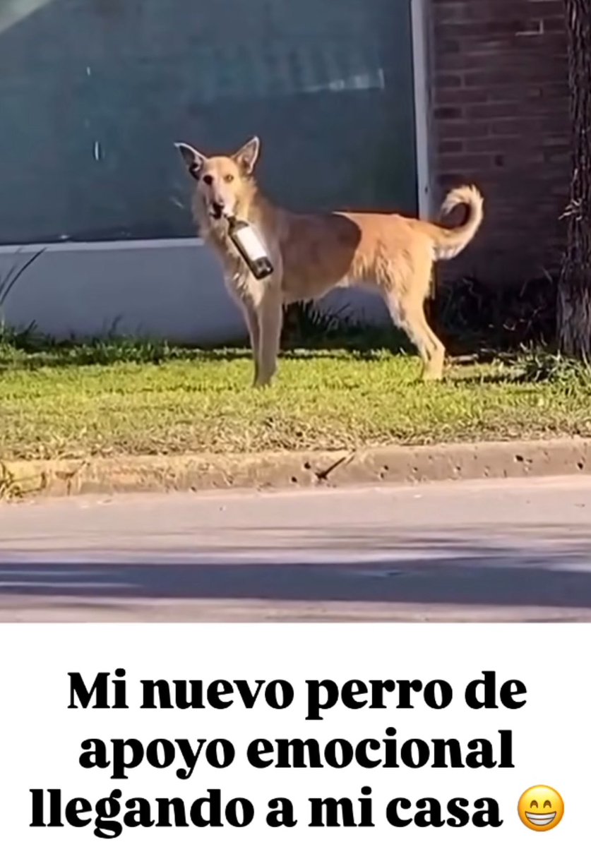 😌