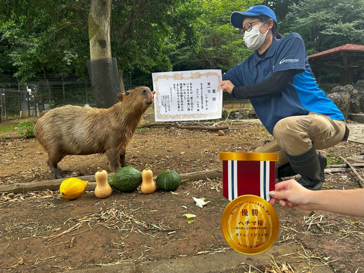 埼玉】 今年も優勝で見事4連覇達成🥇🥇🥇🥇 おめでとうヘチマ！ 伊豆