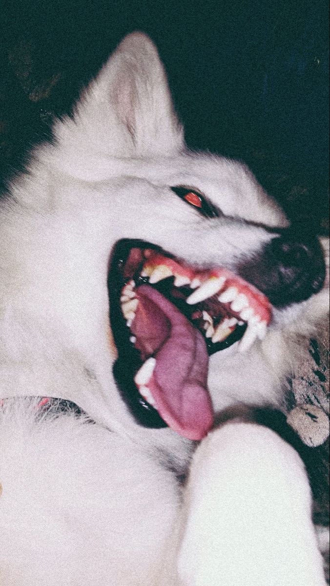 reXchillect's tweet photo. https://t.co/SSdUmagOx8