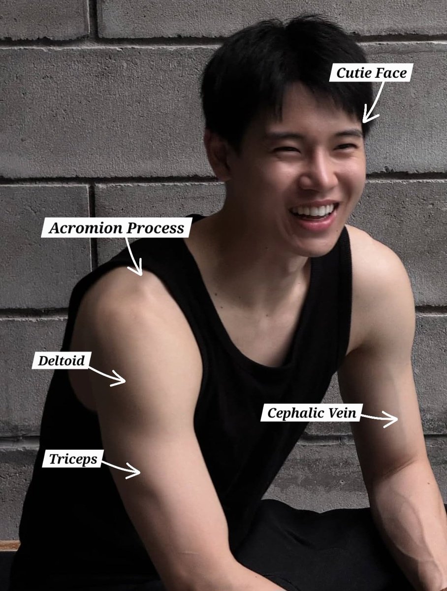 singleserenade's tweet photo. today's #ananforscience is about the acromion process!
its a bony part that is an extension of the spine of the scapula from the back that connects to the clavicle in the front👀
(you can ask more about this & other parts mentioned in the comments/qrt)💞
#หยิ่นวอร์ #yinyin_anw https://t.co/9EGQizButk