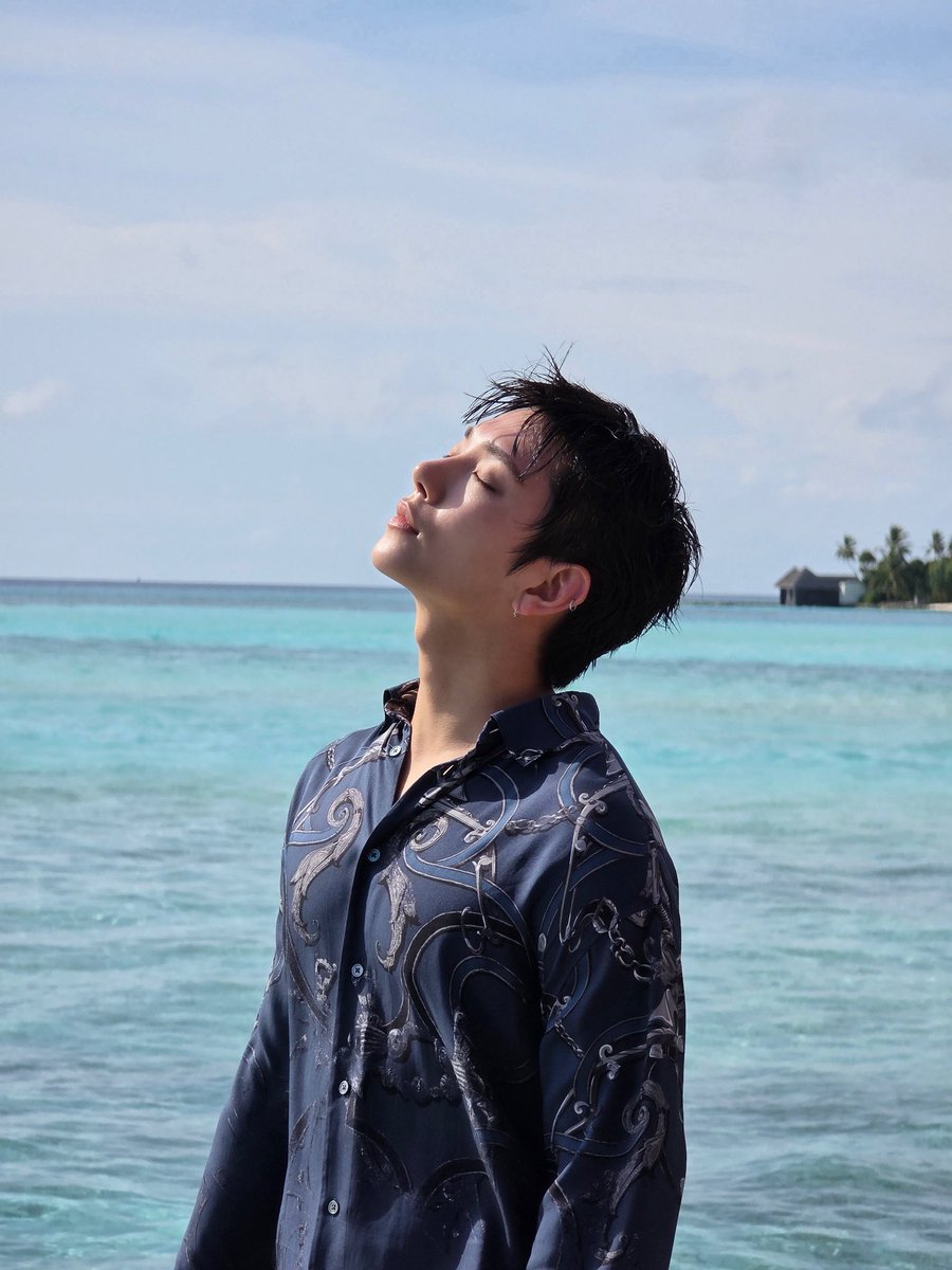 # tweet media