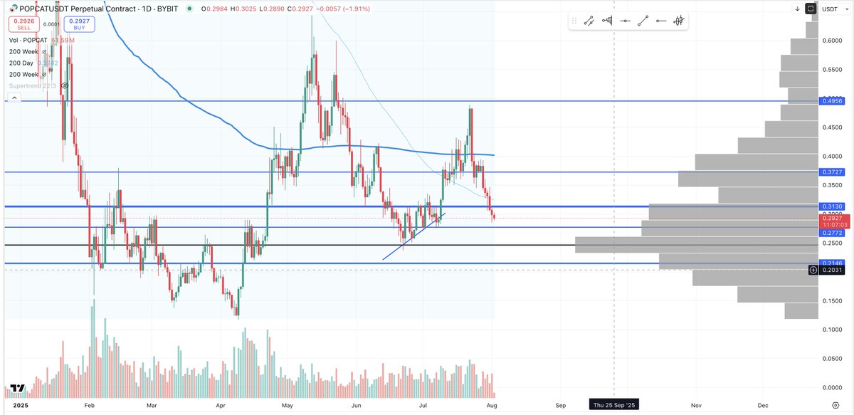 Lets see if $POPCAT can put in a higher low here