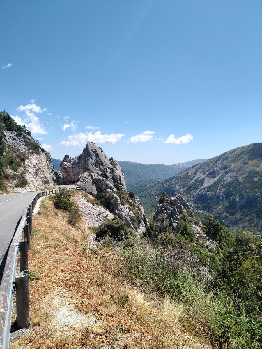 ChargingDingle tweet media