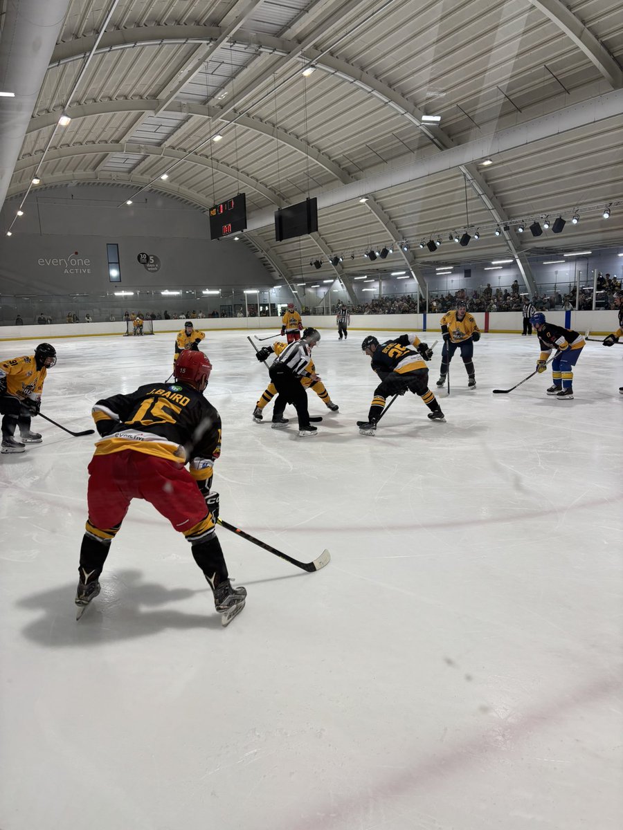 Bees Allstars