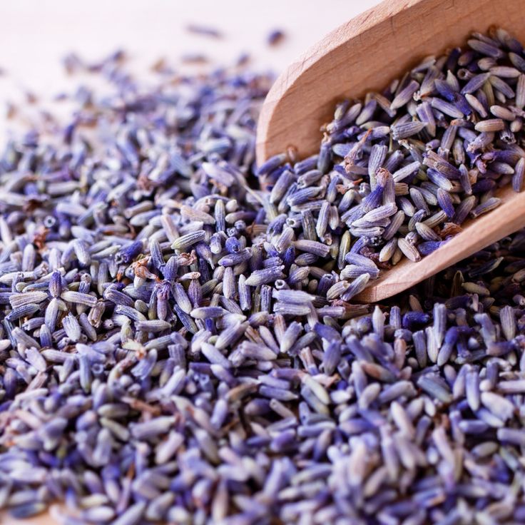 Lavender 

Medicinal Uses:
Acne, Anxiety, Aromatherapy,Burns, Candida/yeast, Children, Colds, Culinary/Kitchen, Cuts &amp; Wounds, Depression,  Fibromyalgia, Headache/Migraine, Herbal Steam, Hypertension, IBS, Insect Repellent, Pregnancy/Childbirth, Skin Care, Sleep/Insomnia