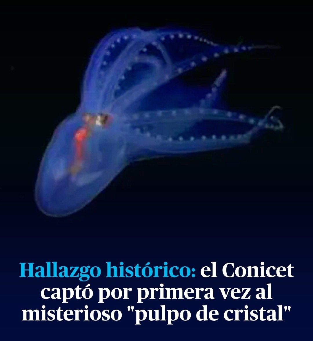 Defender el Conicet haciendo lo mejor que sabemos hacer... investigar y mostrarle al mundo de todo lo que somos capaces de aprender y conocer