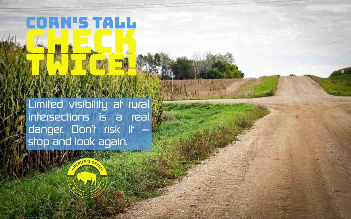 BuffaloCountySO's tweet photo. Corn’s Tall – Check Twice 
Rural intersections are harder to see right now. Slow down, stop, and look both ways — even if you have the right of way.

Let’s not meet by accident.

#BuffaloCounty #RuralRoads #DriveSafe #CheckTwice #FarmCountryCaution https://t.co/MsY1JgAKP0