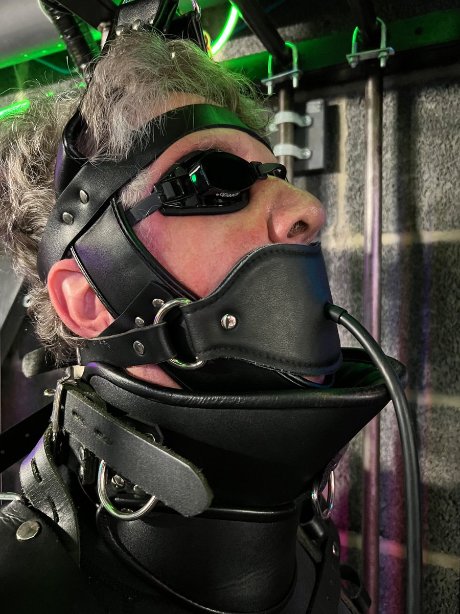 Hogtier1's tweet image. Caged head harness first time with inflatable gag WOW!