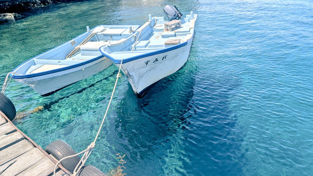 今日の沼津、透き通ってて沖縄かと思うくらい綺麗だった🐟