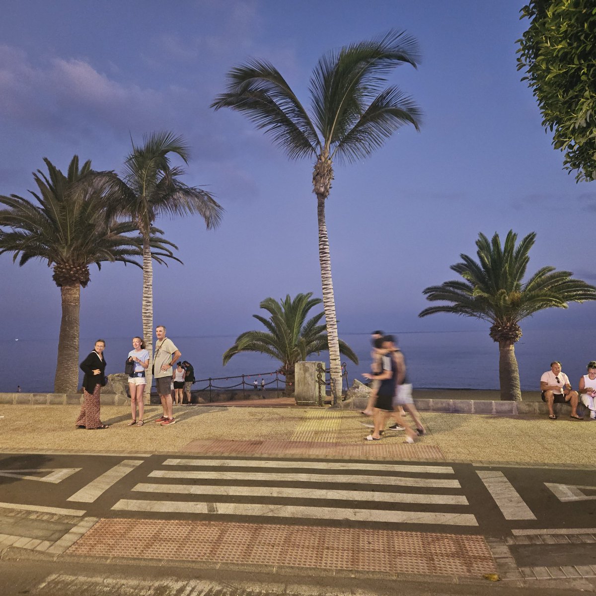 Thomas Porteous tweet media