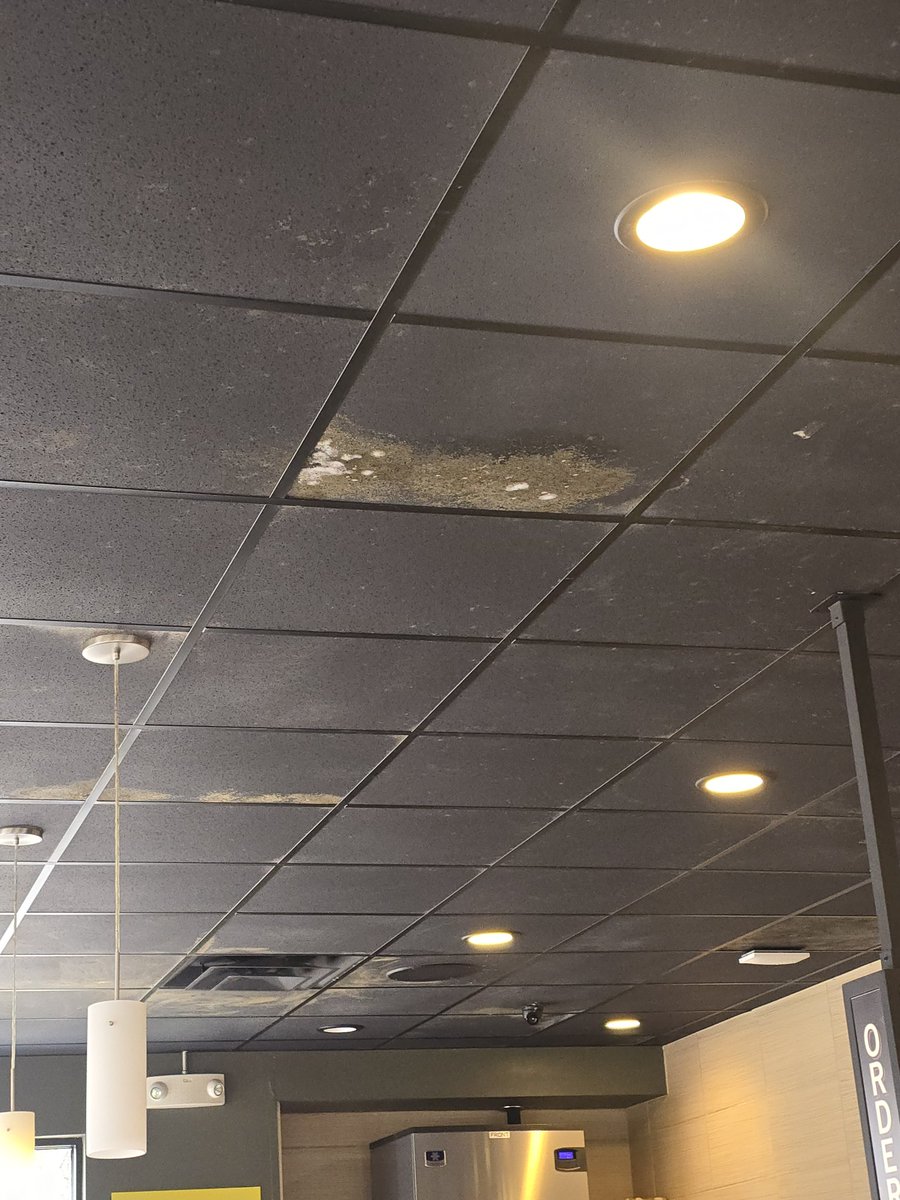 erisolympus's tweet photo. @tacobell  ummmm.  The mold is so thick in the air i can taste it.  Please get this taken care of ASAP. https://t.co/hdVliODDfG