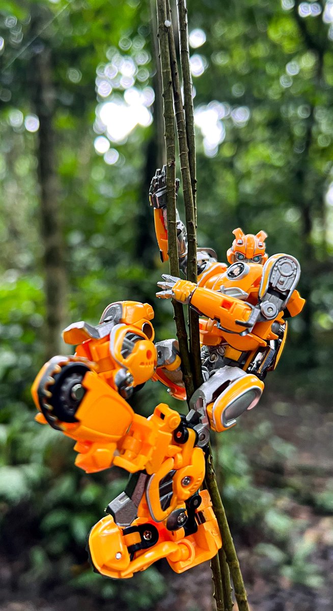 Few more adventure shots with Bee as we continue to explore the Earth! 

Have a good weekend everyone !