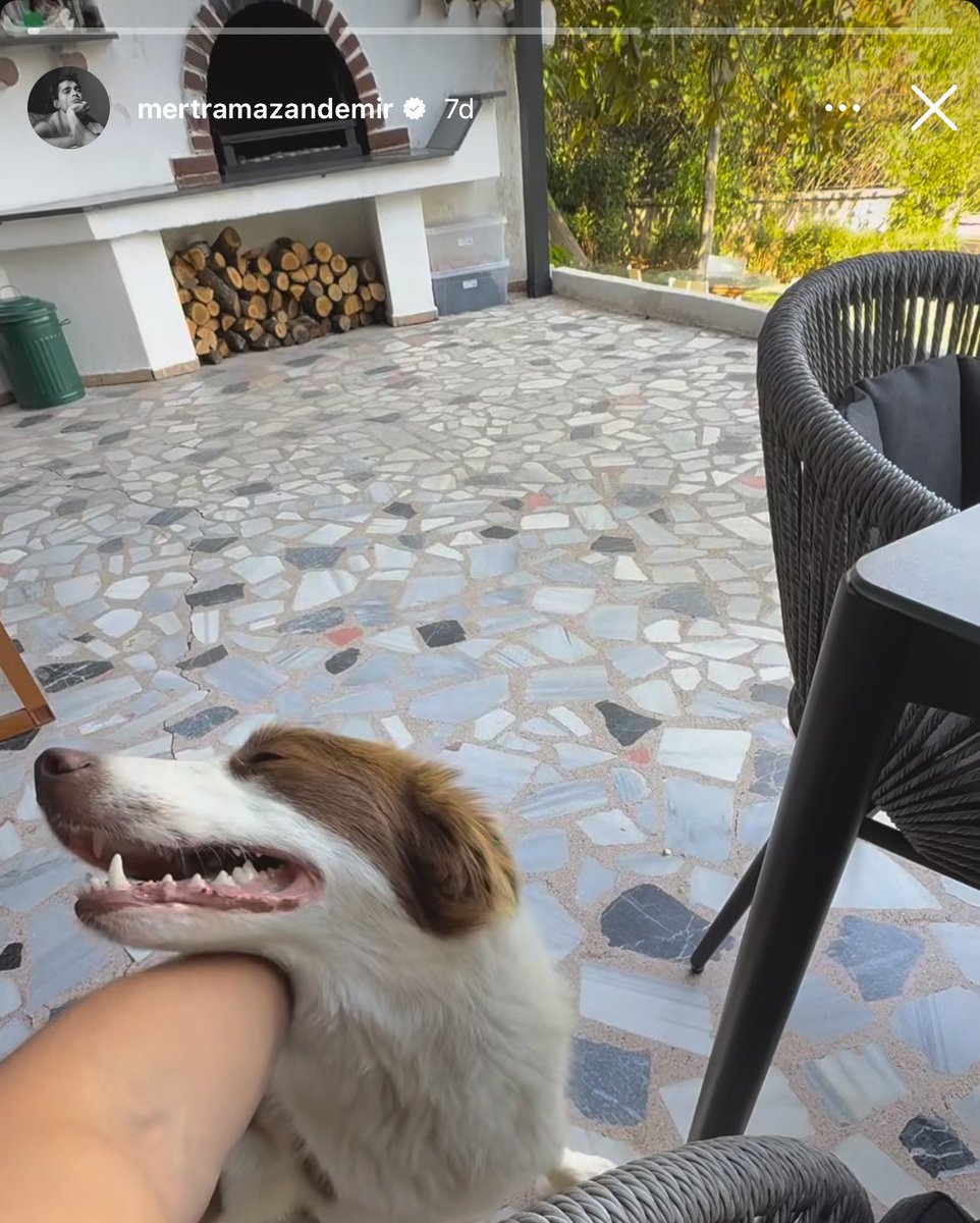 Lizbon’u gönderdi yolladı diyen yüzsüzler utanır mı sanmam