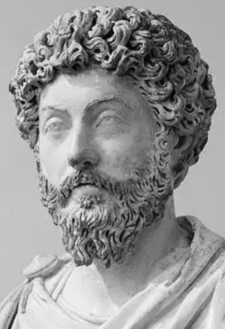 “Não penses, se algo te resulta difícil e doloroso, que isso seja impossível para o homem; antes bem, se algo é possível e natural ao homem, pense que também está ao teu alcance”.

Marco Aurélio, imperador romano.