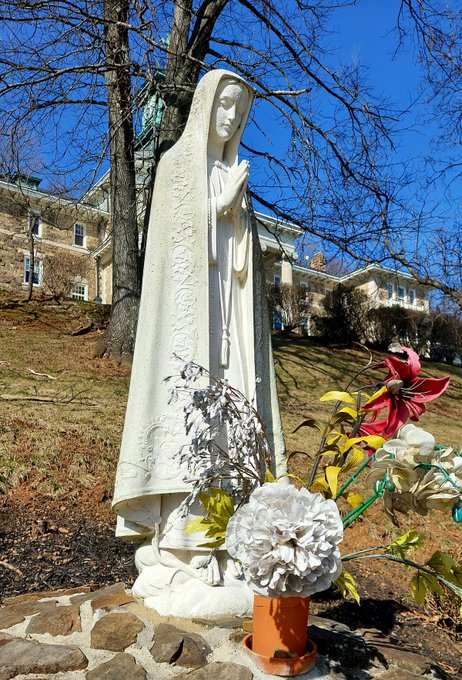 JesusDailyToday's tweet photo. Ave María, grátia pléna, Dóminus técum. Benedícta tu in muliéribus, et benedíctus frúctus véntris tui, Iésus. Sáncta María, Máter Dei, ora pro nobis peccatóribus nunc et in hora mortis nostræ. Amen https://t.co/tAUMbVH741