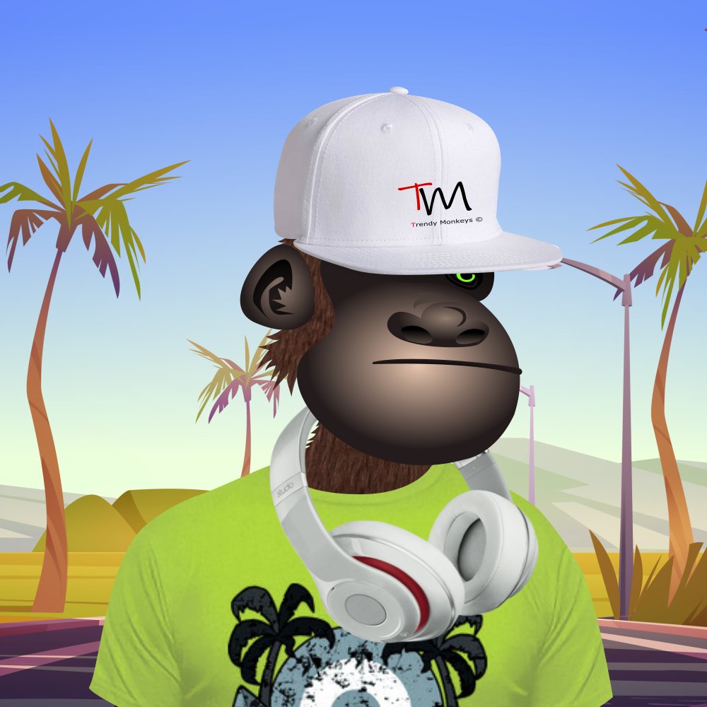 Trendy Monkeys tweet media