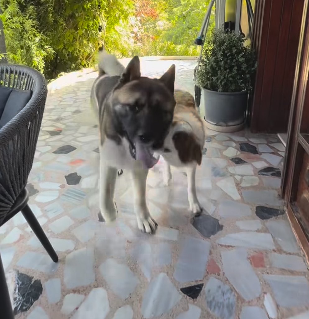 Lizbon abisinin yanında minicik kalmış yerim ki 🤏🏻🤏🏻