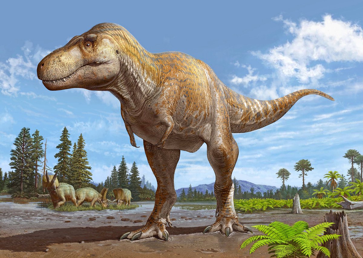 Korang tahu tak?

T-Rex sebenarnya lebih dekat dengan zaman kita daripada dengan dinosaur pertama. T-Rex hidup sekitar 66 juta tahun lepas, manakala dinosaur awal muncul 230 juta tahun lepas.