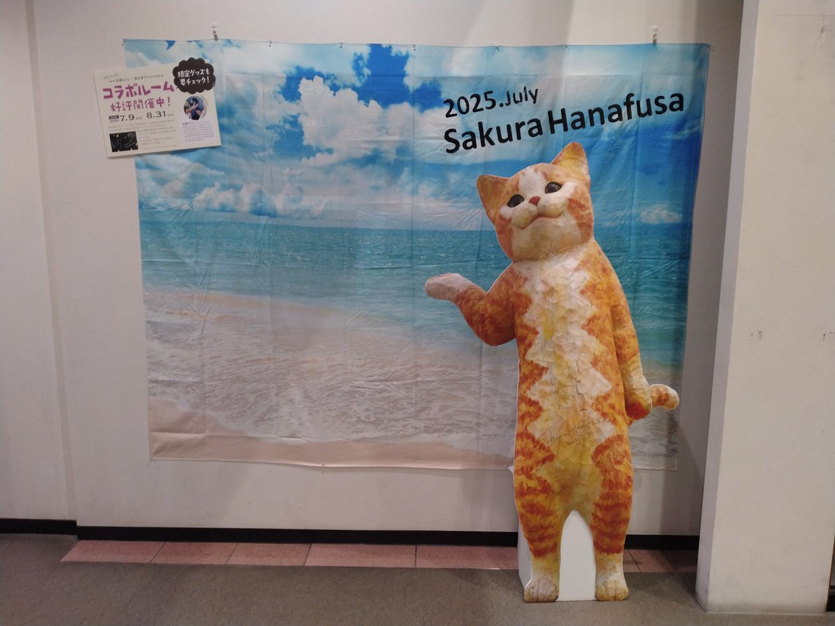 ねこきち。 ねこきち (@neko_kichi222) • Instagram photos and videos