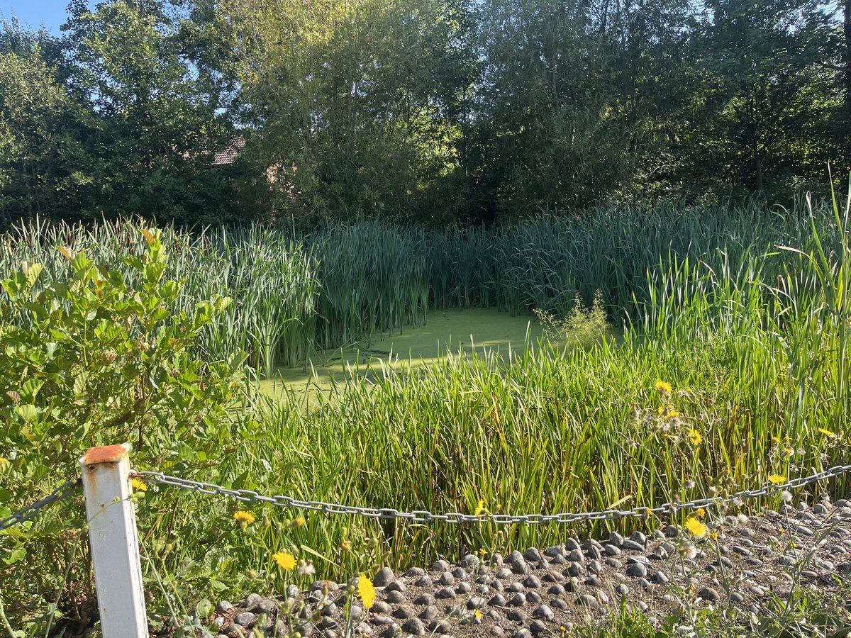 Jonathan White tweet media