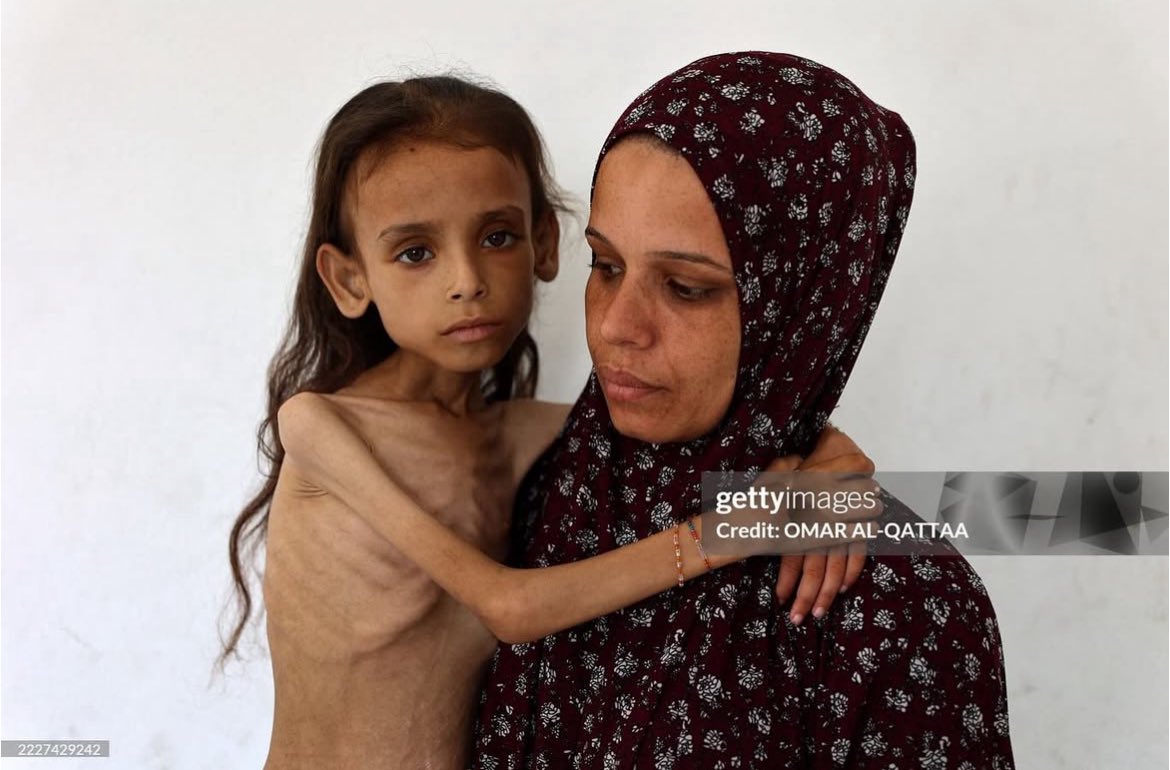 Samira Mohyeddin سمیرا (@smohyeddin) on Twitter photo 