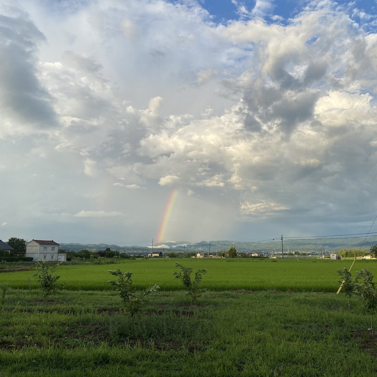 moa29280486's tweet photo. 虹がでてた〜！
8月幸先いい、これから幸せ沢山ありますように☁️🩵🫧夕焼けの方がお気に入り‼︎ https://t.co/WkGHymS14N