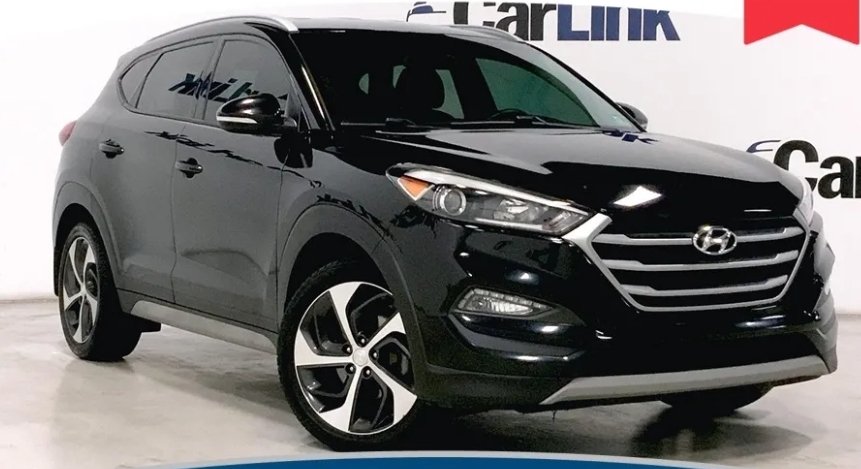 Conrad🏳️‍🌈 tweet media