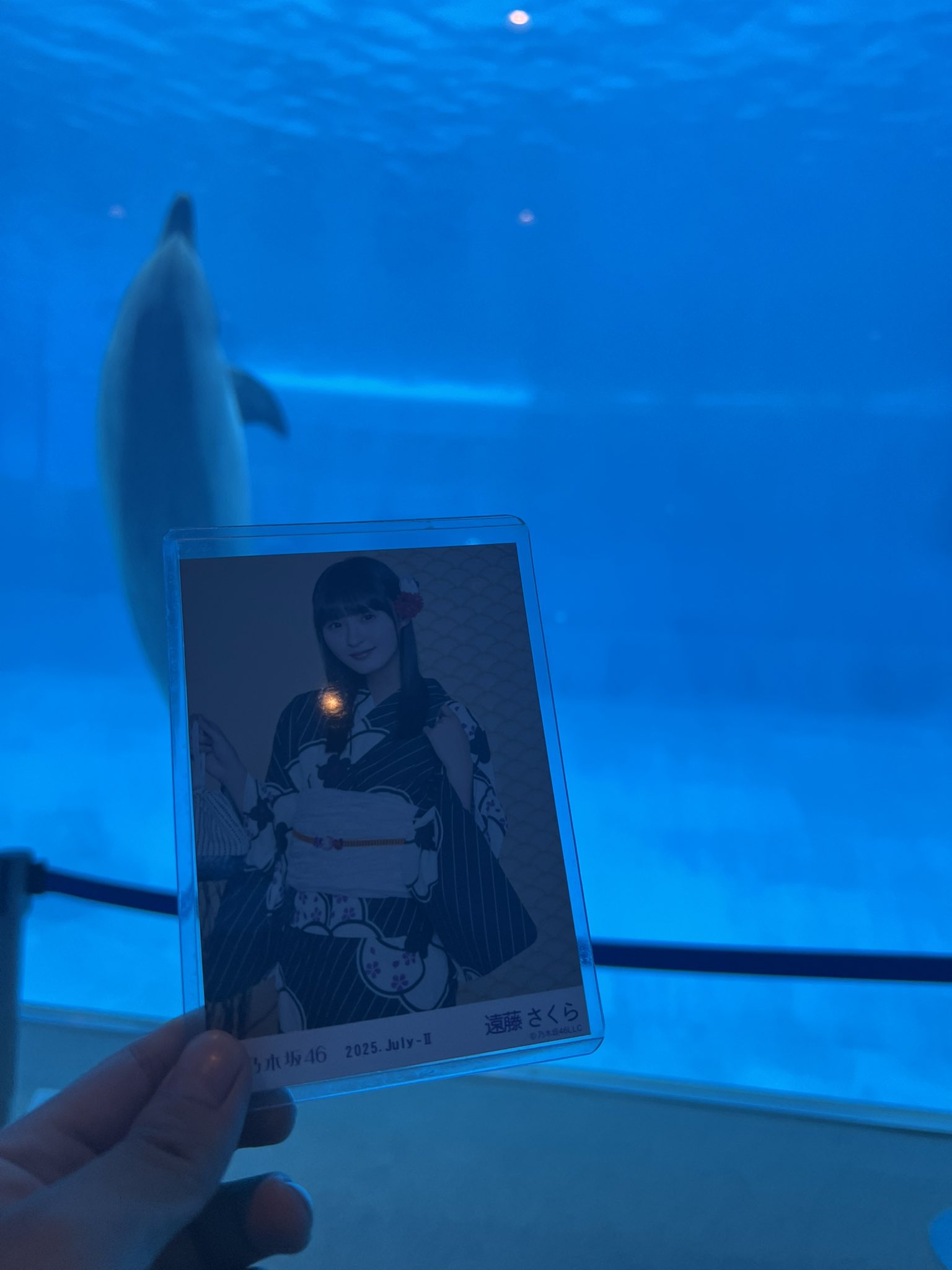 【匿名配送】名古屋港水族館 遠藤さくら着用 オリジナルTシャツ ❗️新品未開封❗️名古屋港水族館 遠藤さくら着用 オリジナルT